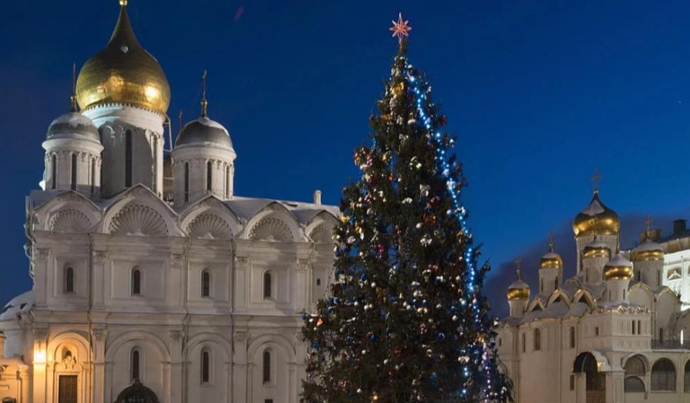 елка зима новый год рождество