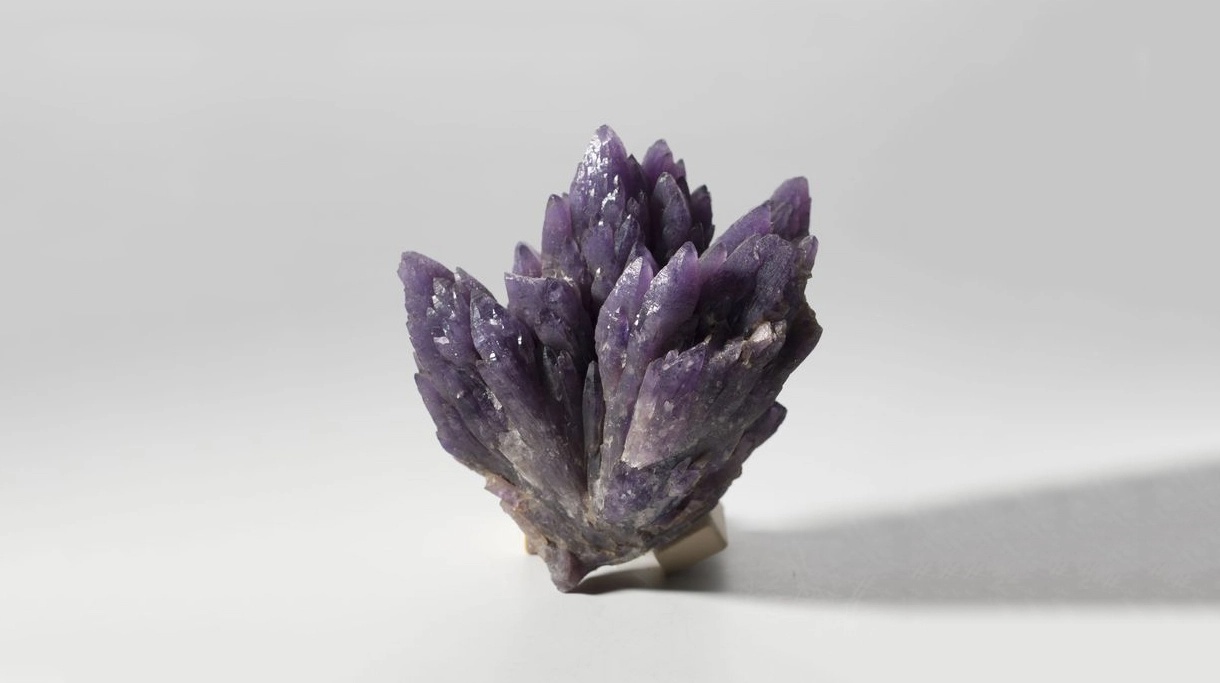 Цикл №27 2026-2027.webp