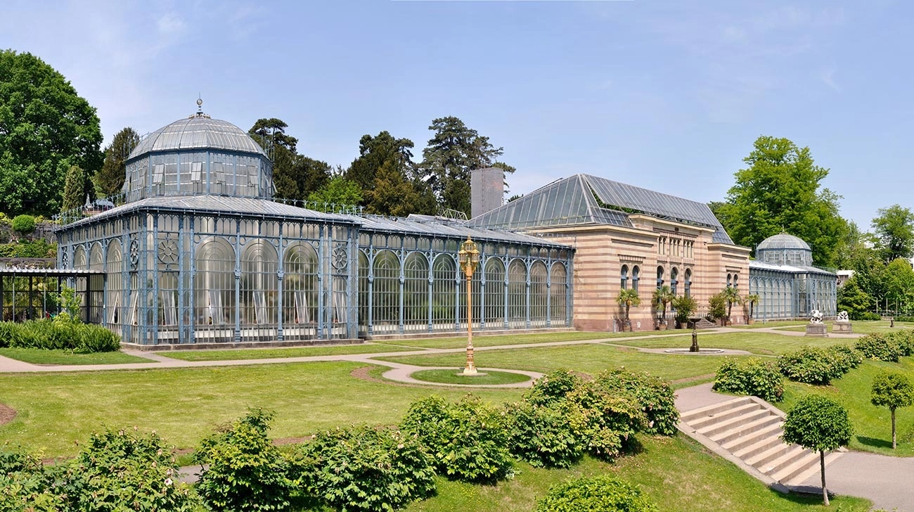 Цикл №24 2026-2027.webp