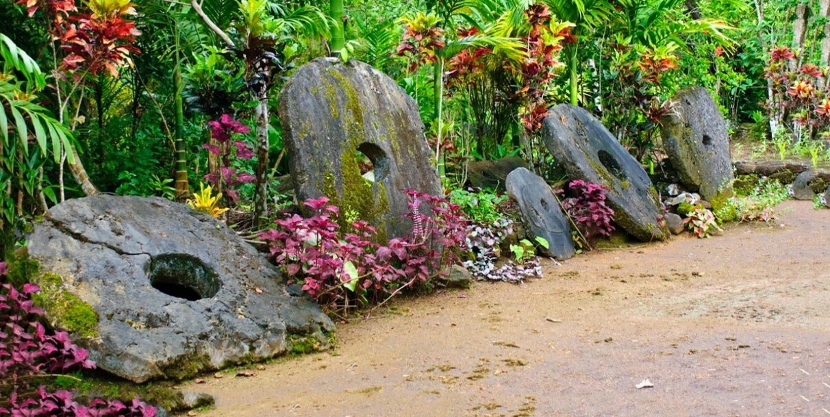 Цикл №26 2026-2027.webp