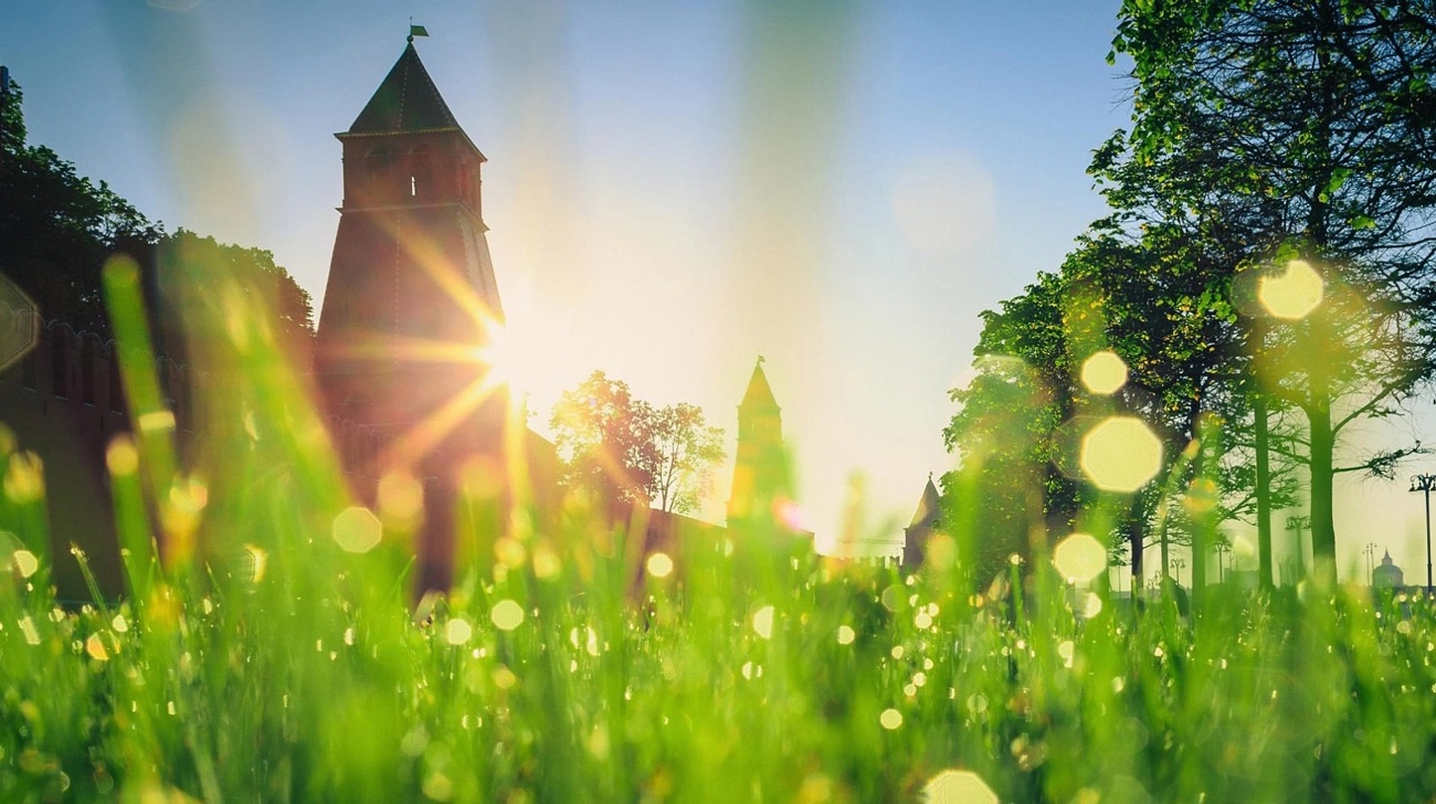 Лето в Музее.webp