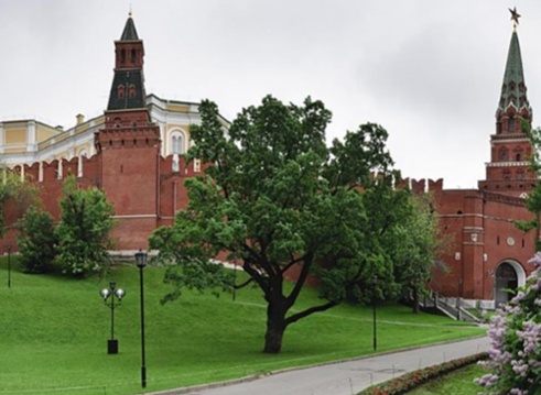 Александровский сад. Вид на Боровицкую и Оружейную башни