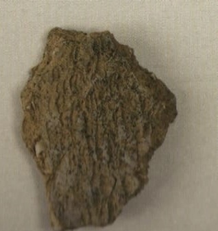 Археологические находки (5).webp