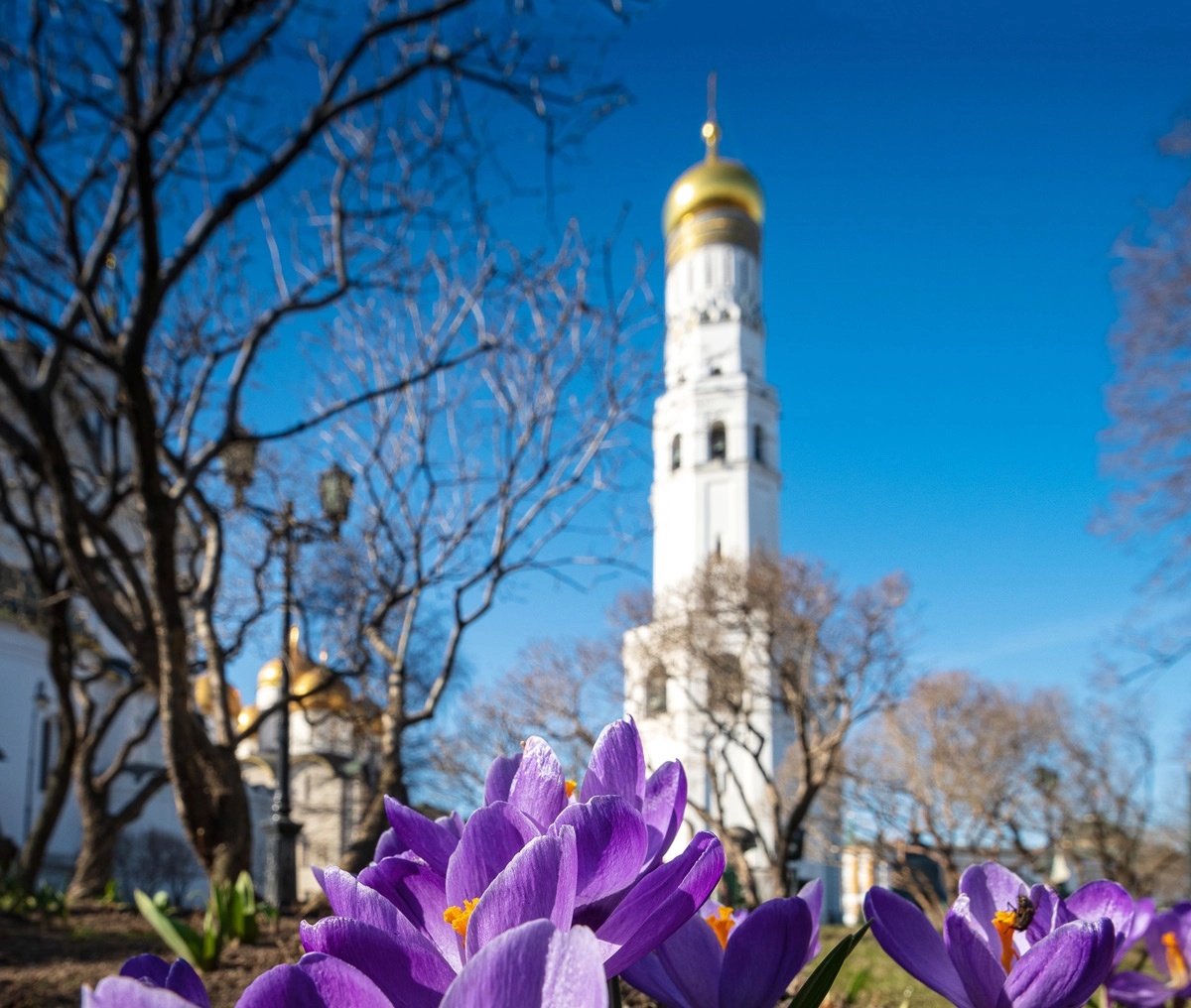 Баннер весна.webp