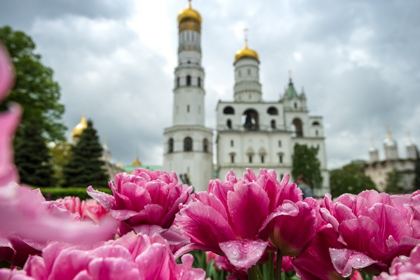 Прогулка по цветущим садам Московского Кремля