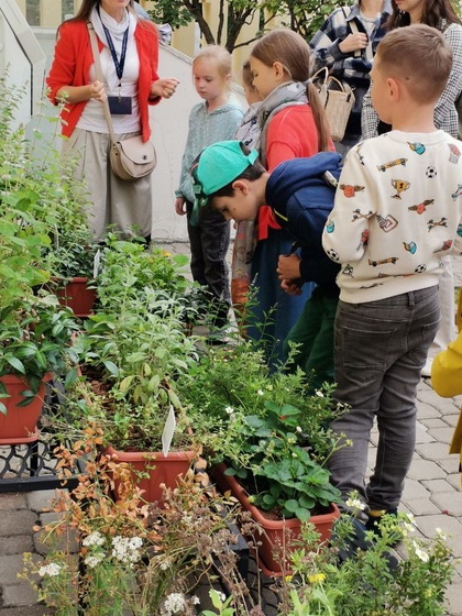 В Аптекарском огороде