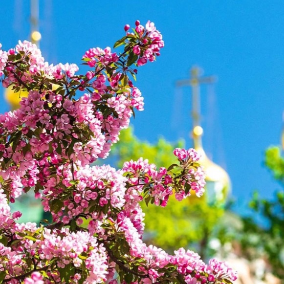 Александровский сад.webp