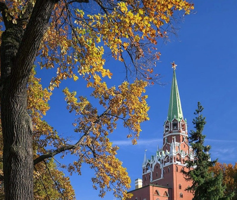 Баннер_осень.webp
