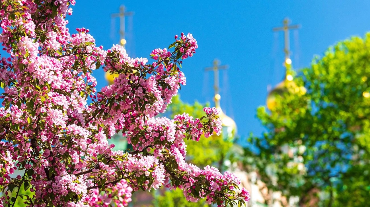 Александровский сад.webp