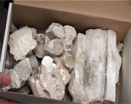 Фрагменты белокаменной резьбы, найденные в забутовке при демонтаже левой пилястры южного портала собора