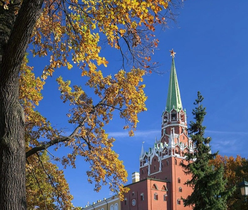 Баннер_осень.webp